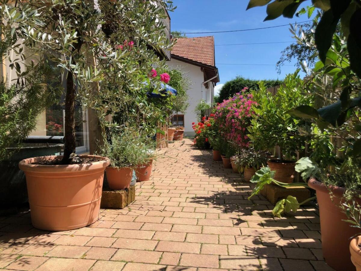 Ferienwohnung Lechraum In Waal Exterior foto